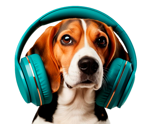perrito